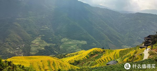 观景台|游·略 篇一：一场刚刚好的金色梯田之旅——龙脊梯田