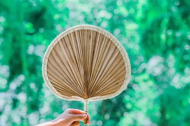 穴位|初伏来了！排寒湿、通经络的好时机，赶紧灸起来！三伏灸一灸，疾病绕道走！