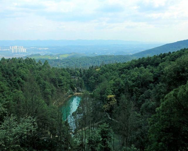 “花动一山春色” ——重庆九龙坡区九凤山赏春花