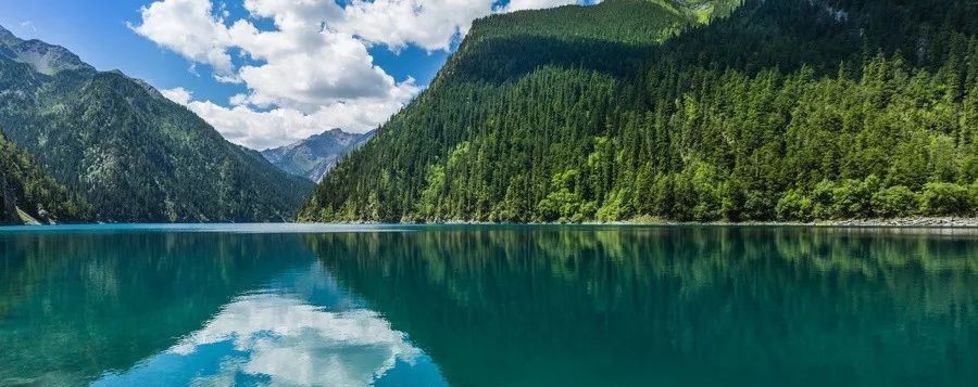 人生|【感悟人生】中国最顶级的智慧,是做个又稳又笨的人