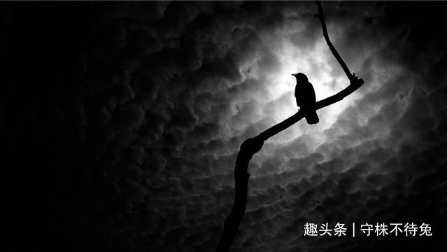 23个冷知识学校里不会教，或许只有少数人知晓