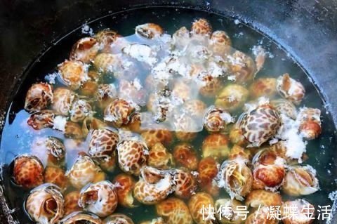 花螺|这东西在美国卖出了高价,中国却要花重金清理,食客:长错了地方