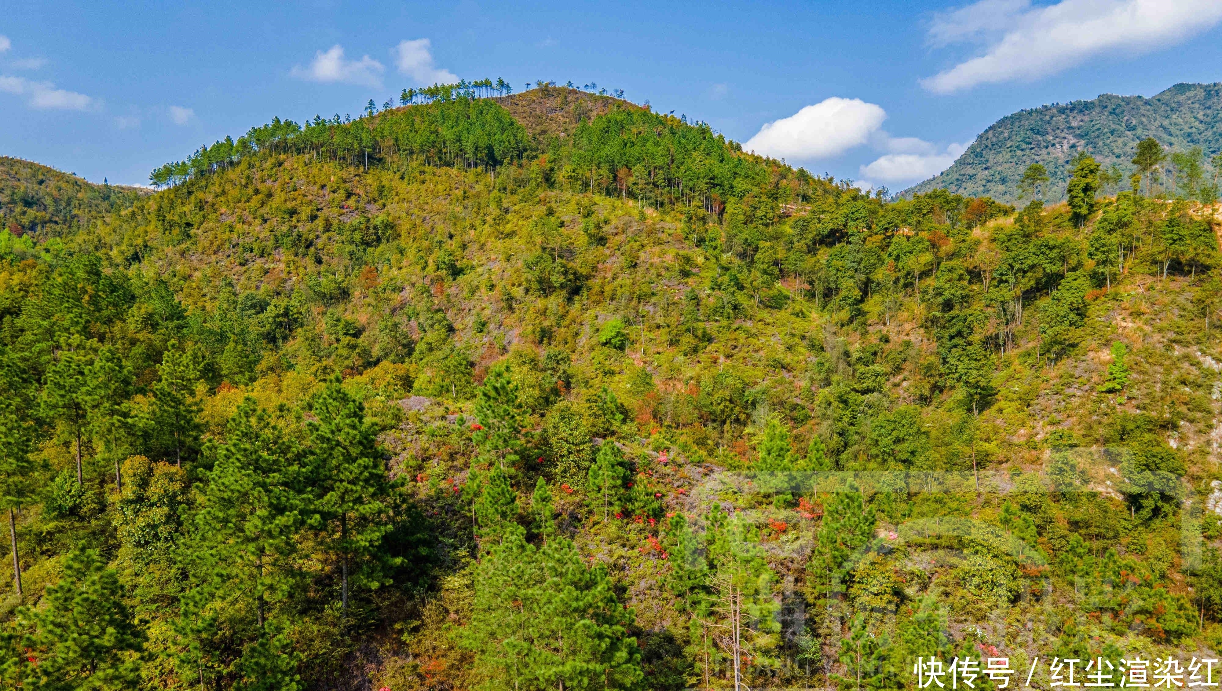 赣州贡江山水最美的地方，山高林密于都人才知道，高空俯瞰景迷人