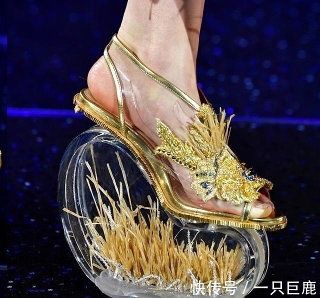 鞋底|鞋底养鱼成现实，行走的艺术，网友：我就好奇穿上怎么走路！
