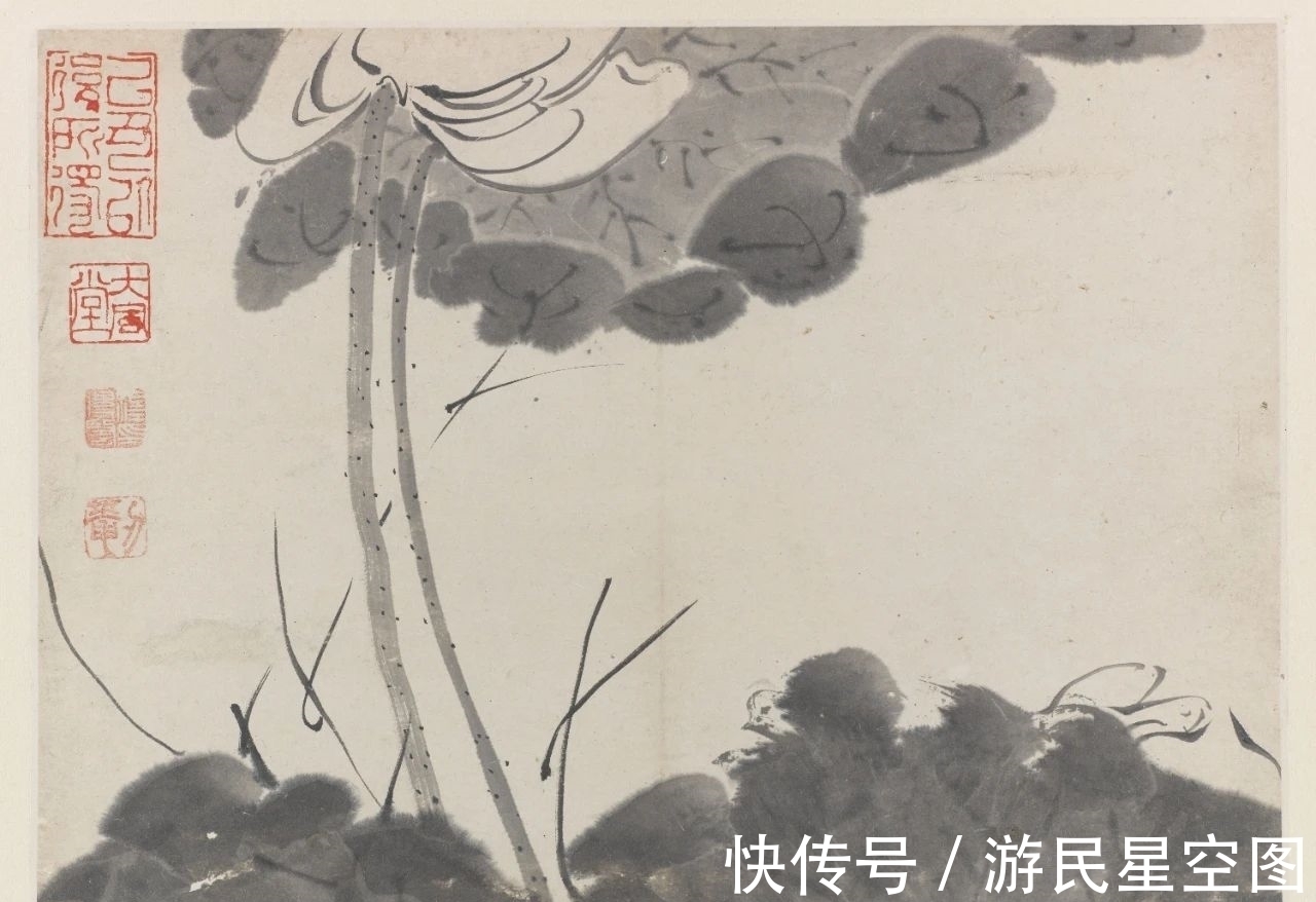 津门&「津门网」见画如见字、见字如见人,看这组清新的荷花您有啥感受