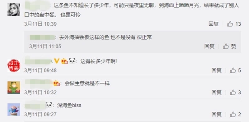 你见过大型石斑鱼吗,但是却被钓友吃了,网友评论亮了