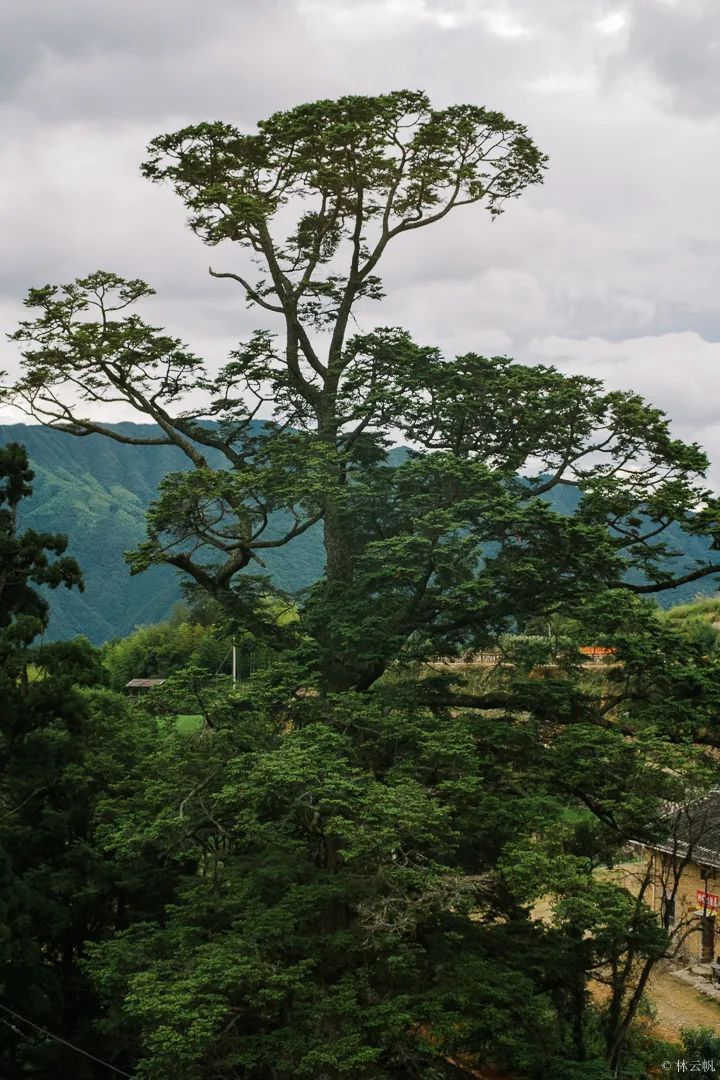 居所|太拉風(fēng)了！螞蟻探路帶領(lǐng)房車露營真人秀節(jié)目慶元拍攝圓滿殺青