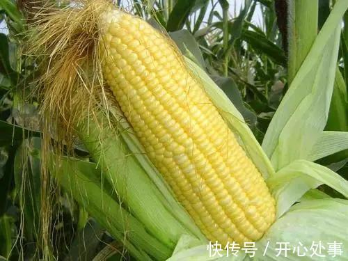 粗粮|患有肺结节的人,这种粗粮尽量少吃,或有助结节消散