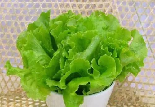 高血糖别急着吃药, 多吃这几种食物, 高血糖慢慢远离你!