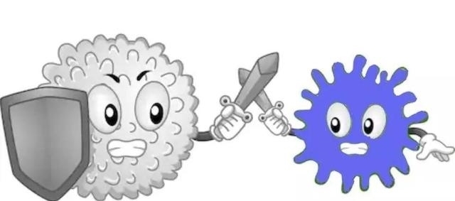 免疫力 人體健康的強健盾牌