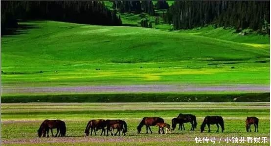 一首《可可托海的牧羊人》唱响春晚，让伊犁惊艳了全世界！