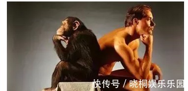 秘诀|养生家密而不传的“养肾秘诀”大公开!益气力、乌发养颜、补肝肾