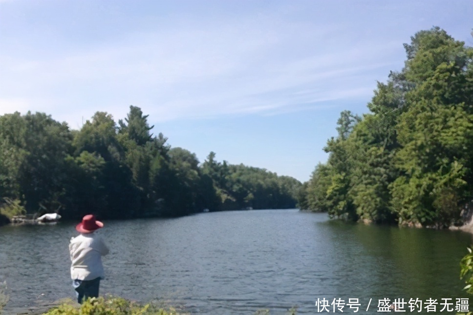 夏季|夏季野钓鲫鲤鱼有技巧,想要爆护必须掌握好才行!——盛世三渔