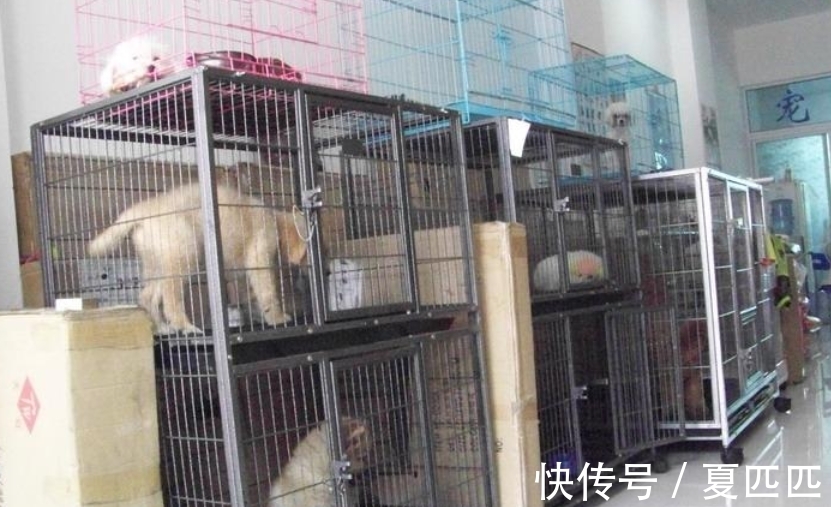 阿慧|电商坦言：这些商品，去实体店买，不然会多花冤枉钱！