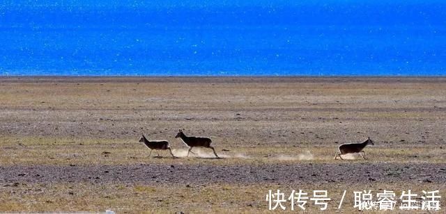 半壁江山|这里不是外星球奇景，而是占了中国半壁江山的西部美景