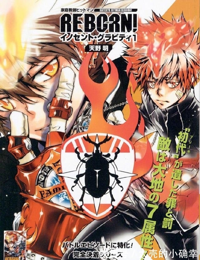 家庭教师六吊花