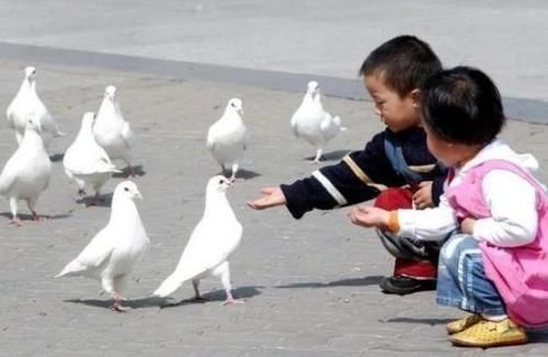 罪魁祸首|7岁女童瘦得皮包骨,停止发育,医生:3种带娃方式是罪魁祸首