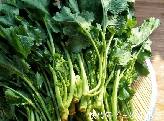 田园风光|看似不起眼的蔬菜, 几乎没人用它包饺子, 可包饺子却很好吃