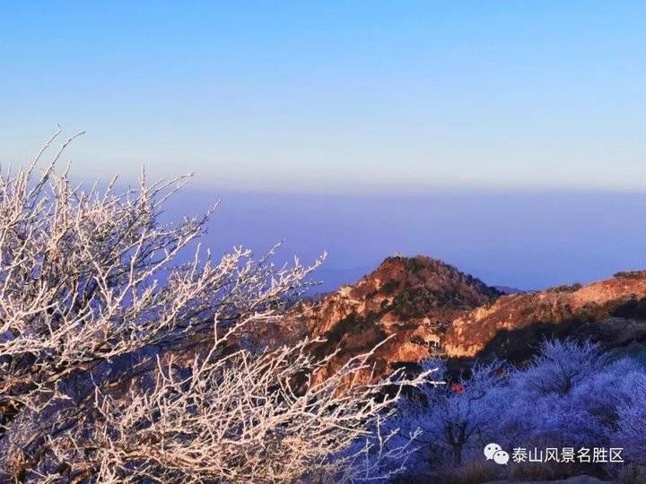 登泰山之巅，观云雾升腾铺陈成海，看云层姿态万千仿若画卷