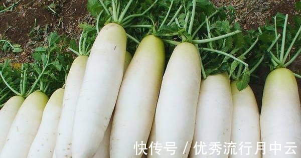 萝卜不要腌着吃了,教你一个新方法比吃肉还过瘾,我家经常吃!