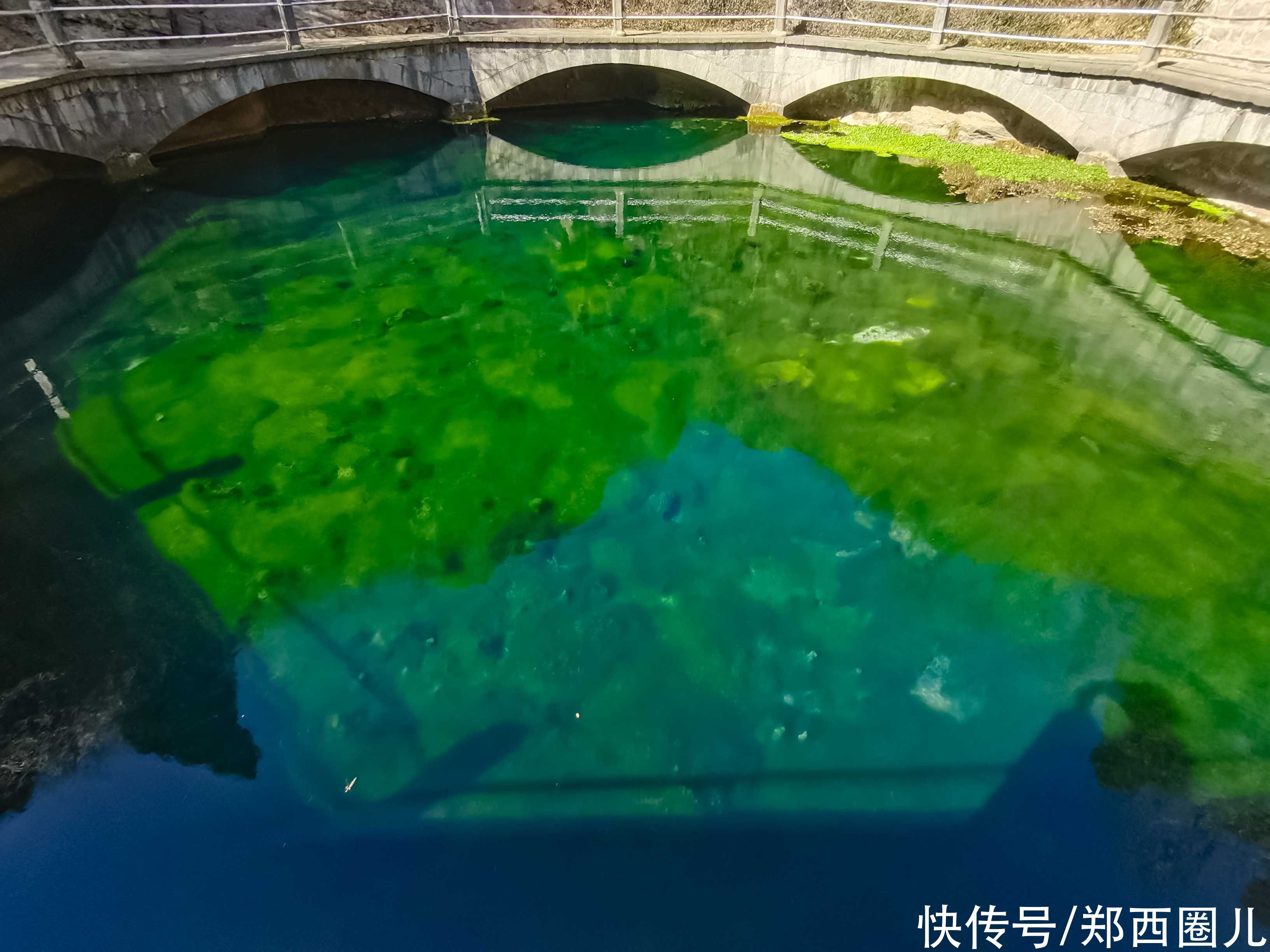 中年|郑州这个春天来得有点早 徒步环游穆桂英寨小龙池赏山桃花