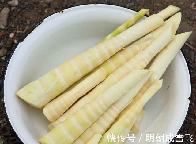 茄子|高血压必须要吃药?营养师:经常吃”五宝“,血压可能不升反降