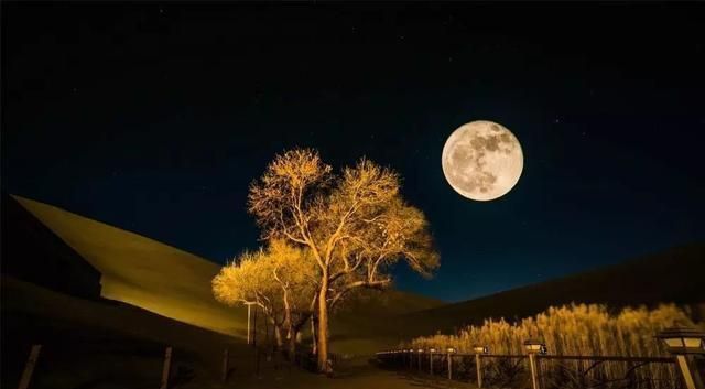 诗人|2首冷门而优美的中秋古诗,让你回到千百年前,与古人赏月夜话