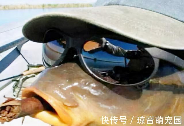 饵料|别再单用打窝米了，掌握这4种用法，能让它在钓鱼当中发挥极致