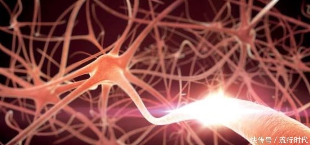 103岁老人不受痴呆困扰,原因竟是喜欢做这“4事”,你中了几个