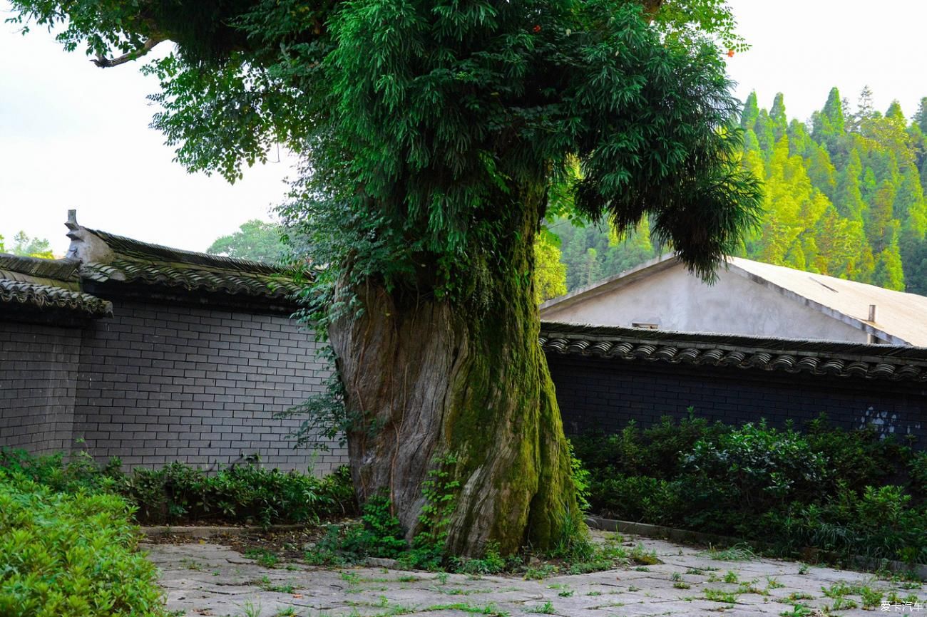 老年|小镇蒙蒙烟雨，小桥流水，断桥残雪~青山点点，古道悠悠