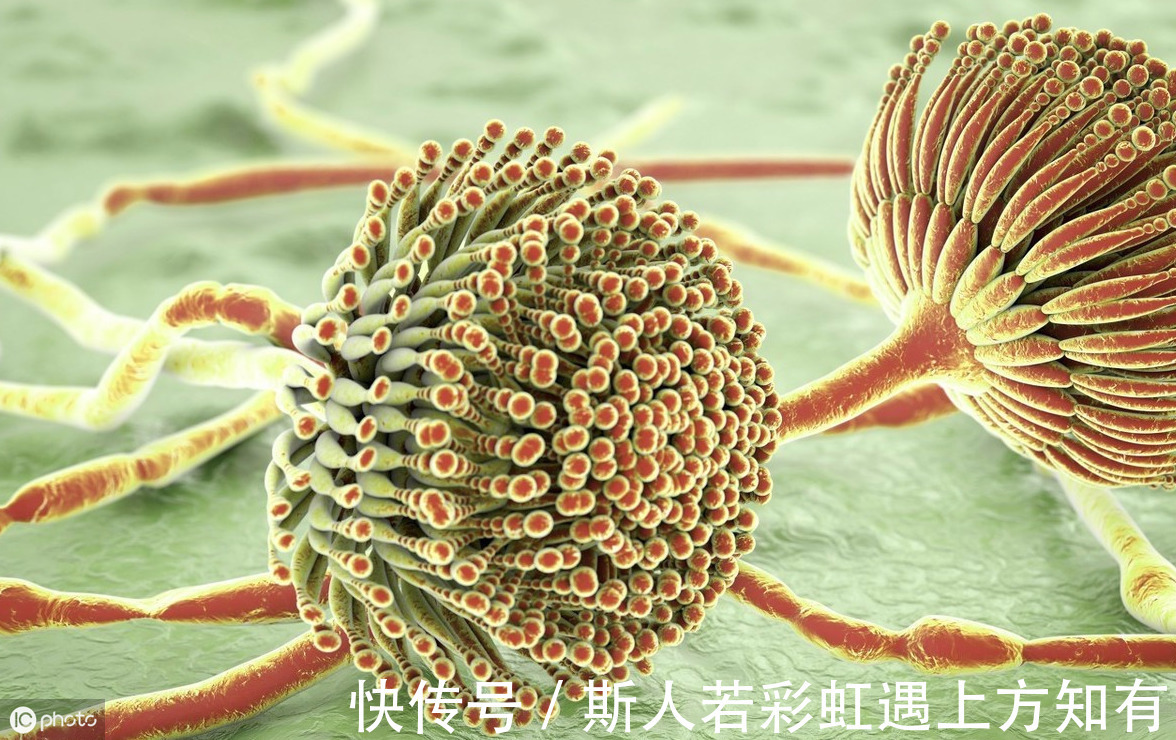 小作坊|一家3口陆续被查出患癌,都是吃他惹的祸,多人家庭有