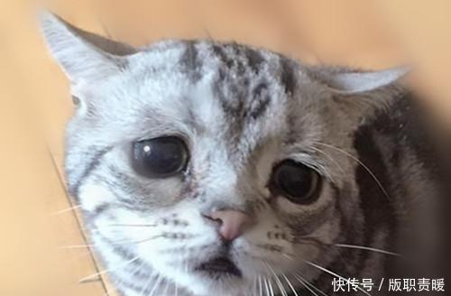 关羽|孔明为何要独派关羽伏兵华容道，谁知其中隐藏着三个极大的秘密！