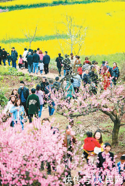 春风吹热赏花游