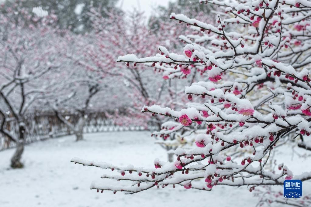 断桥残雪|杭州：雪落西湖