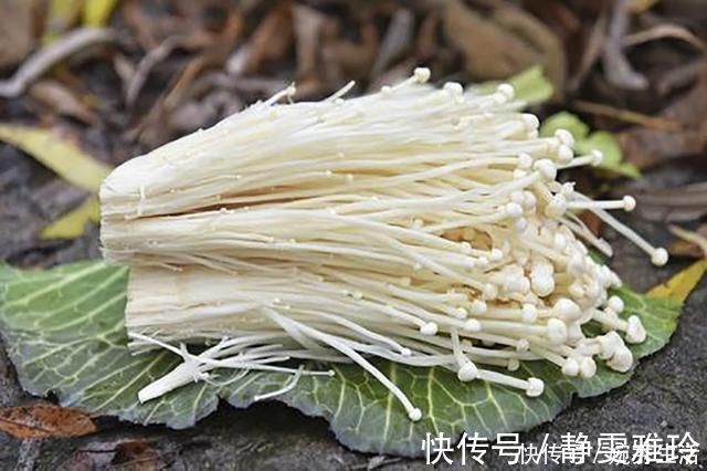 家常菜|教你几道特色家常菜,做法简单上档次,来客人端上去特别有面子