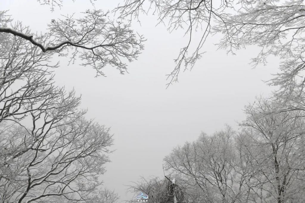 县区|初雪！周边县区雪景美图来袭！