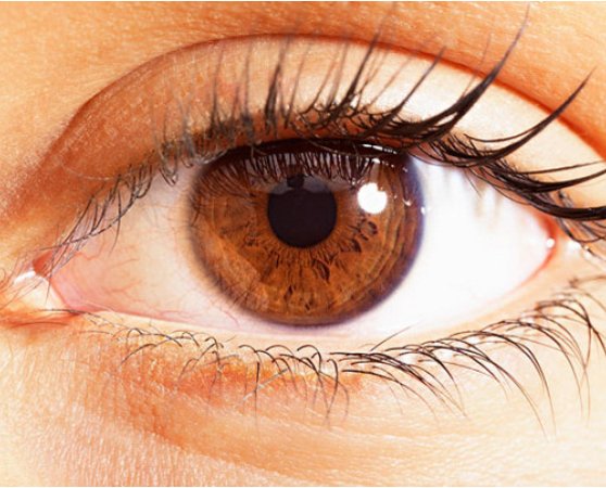 每天坚持午睡15分钟，身体会发生这种神奇变化