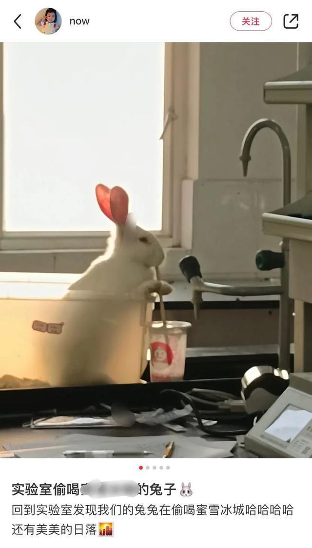 |翻开前信誓旦旦:这一定是米奇 冷段子2023