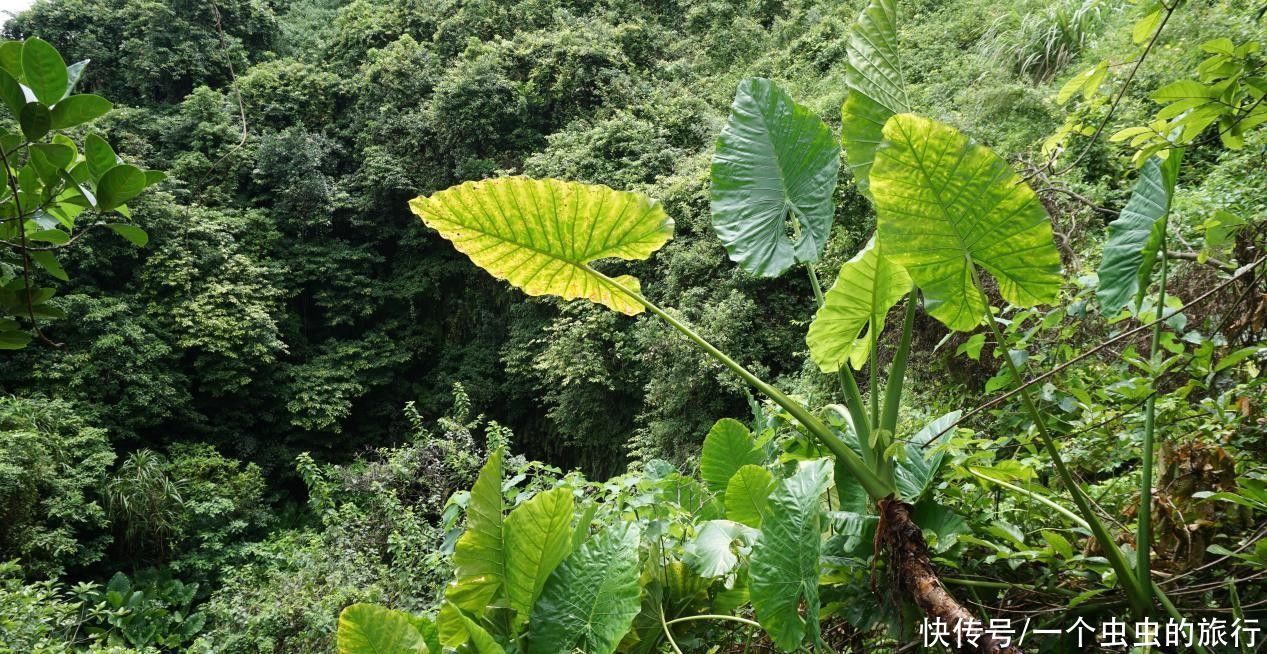 雷琼海口火山群世界地质公园，热带城市火山文化的博览园