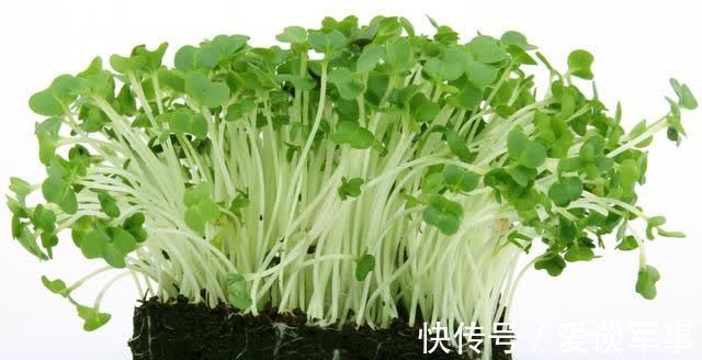 营养成分|适合女性吃的3种食物，排毒养颜，滋润肌肤，爱吃就赚了