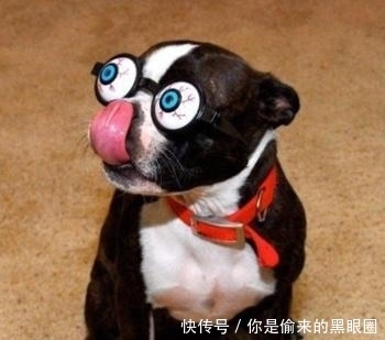 海贼王|晚上走路上吓一跳,路飞是你吗?一个要成为海贼王的男人