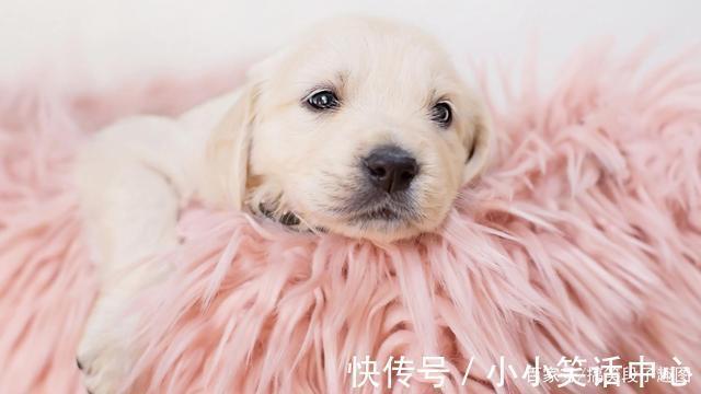 |8条段子：大哥好人做到底