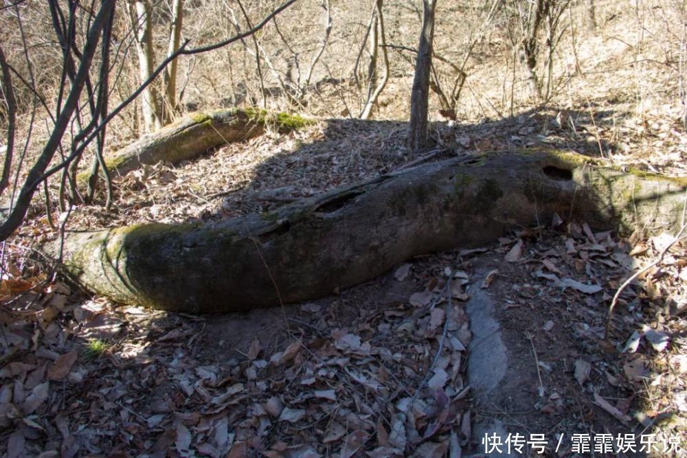 岭沟|再访秦岭岭沟，时隔四年同一位置拍摄的照片，你能发现有何区别？