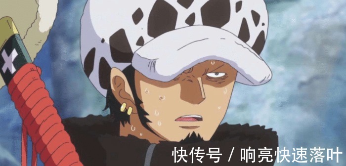 能力者|海贼王3大恶魔果实种类最强，动物系众所周知，超人系争议最大