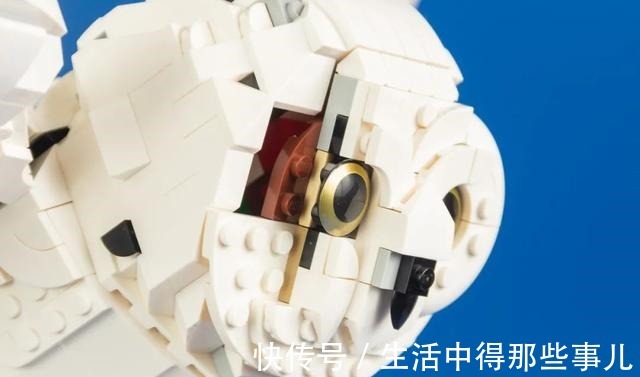 羽毛|乐高哈利波特76391霍格沃茨经典藏品开箱评测!