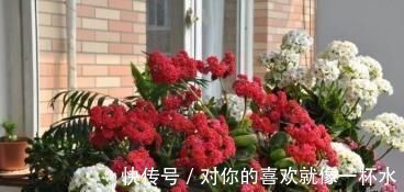 这种小东西,可是养花宝贝,盆底垫一些,不黄叶,根壮开花多!