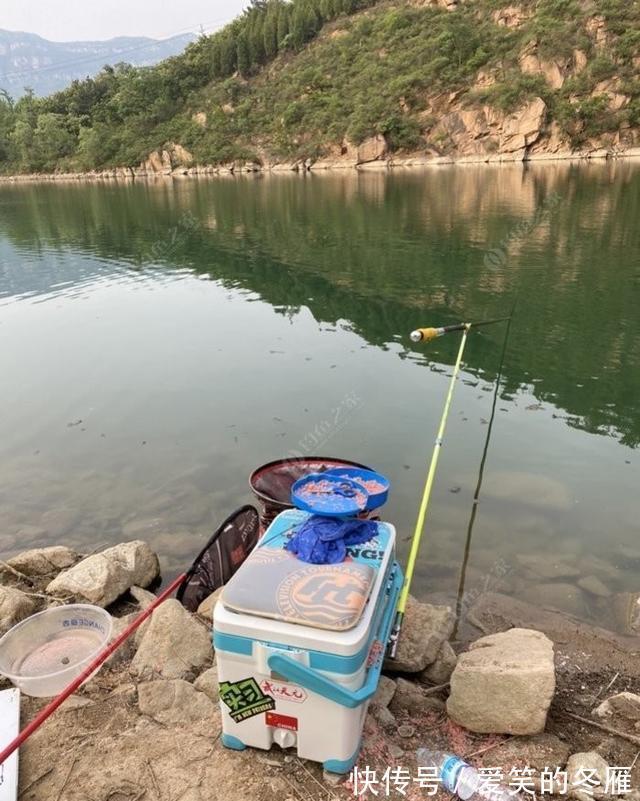 饵料|夏季做钓鲢鳙,五个大招让你变王者