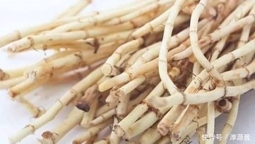 农村山里这种野菜,吃了能清热解毒,利尿消炎,你喜欢吃吗?