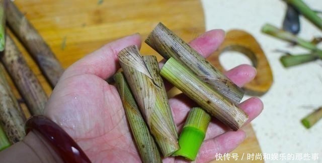 四月最馋这菜，开车百里回家挖，每年最多吃两次，错过就要等一年