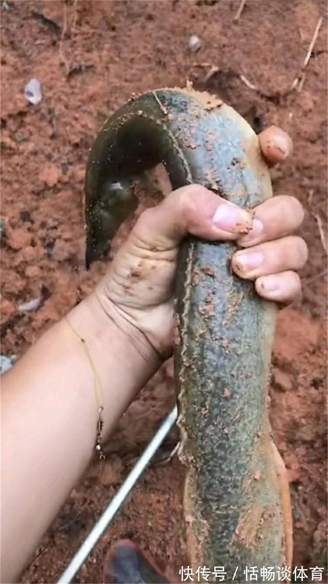 这几种昂贵鱼即将停口,再不钓要等明年,攻略分享